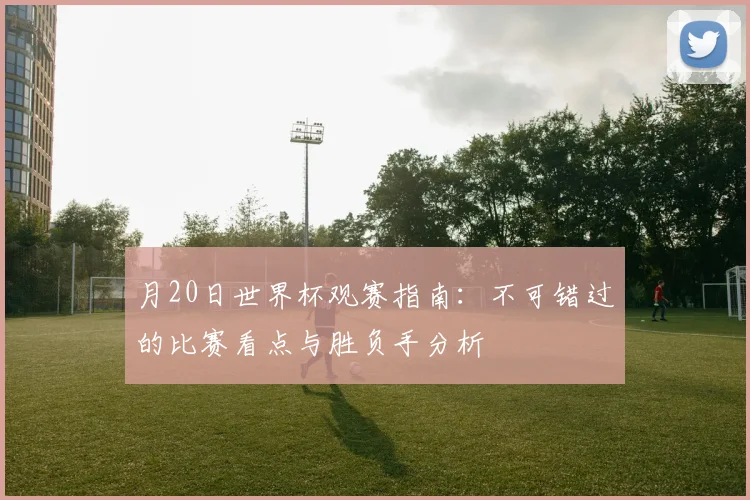月20日世界杯观赛指南：不可错过的比赛看点与胜负手分析