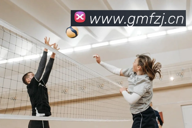 电竞直播专区